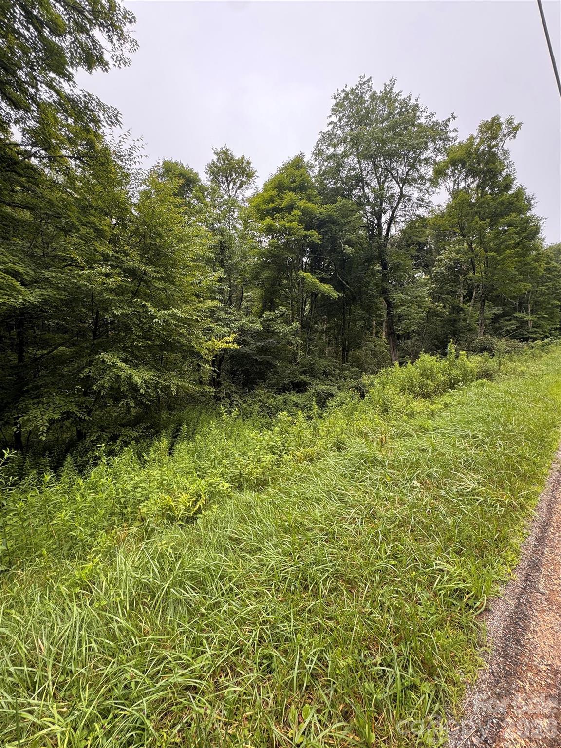 Tbd Sugar Mountain 2 Road B Property Photo 7