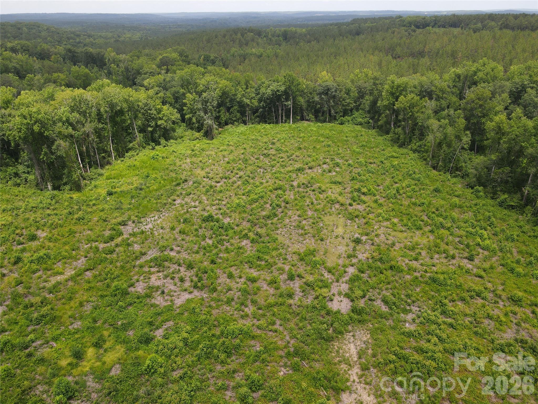 1726-c Old Cheraw Highway Property Photo 46