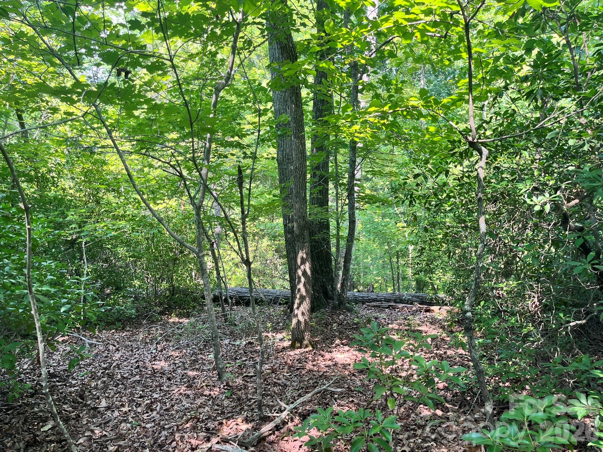 Lot 25 Bluebird Terrace Property Photo 16