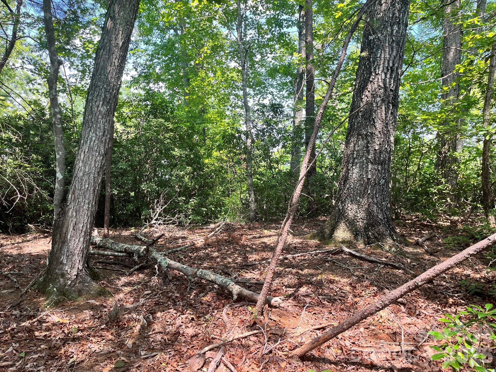 Lot 25 Bluebird Terrace Property Photo 17