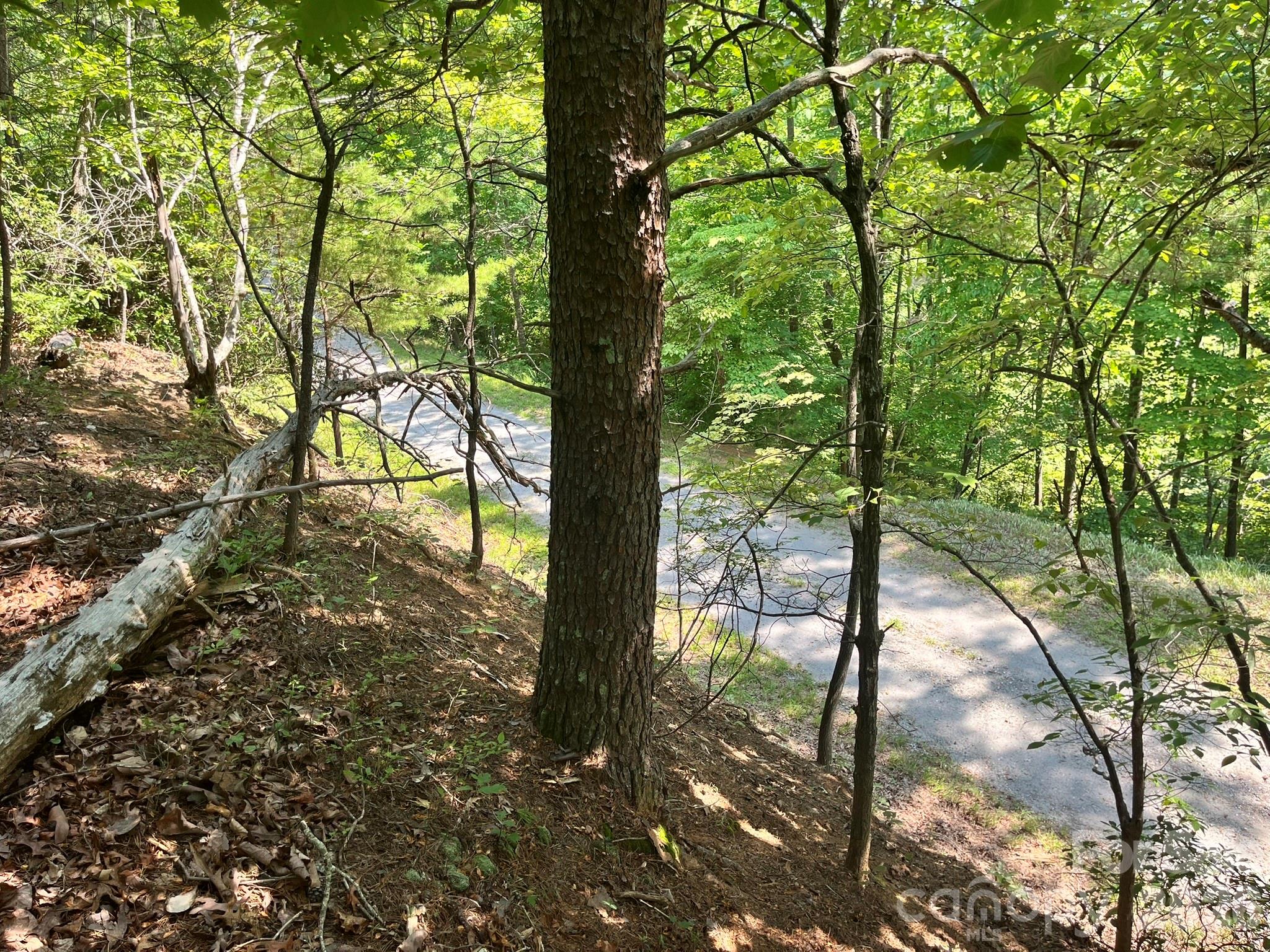 Lot 25 Bluebird Terrace Property Photo 18