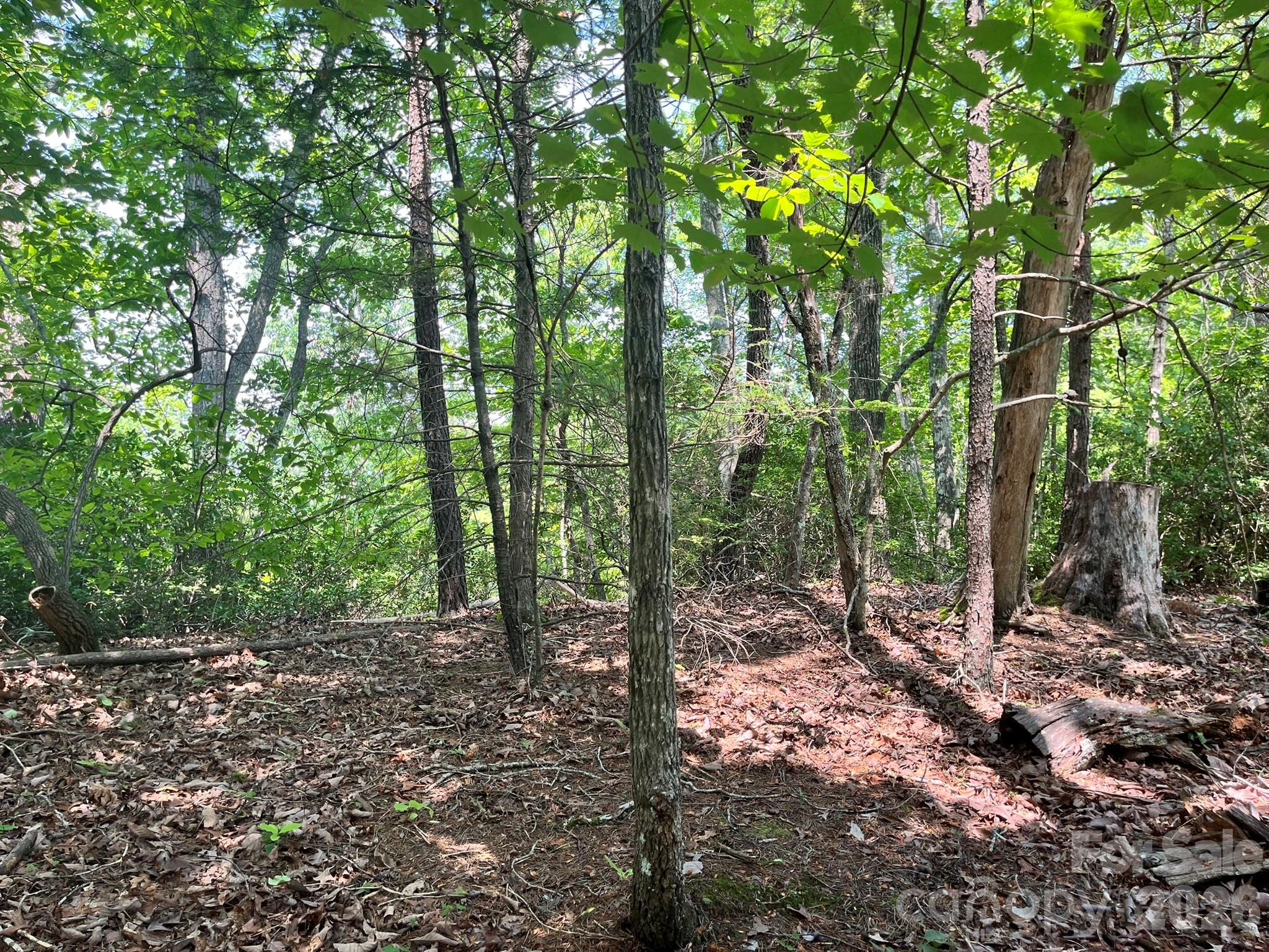 Lot 25 Bluebird Terrace Property Photo 19