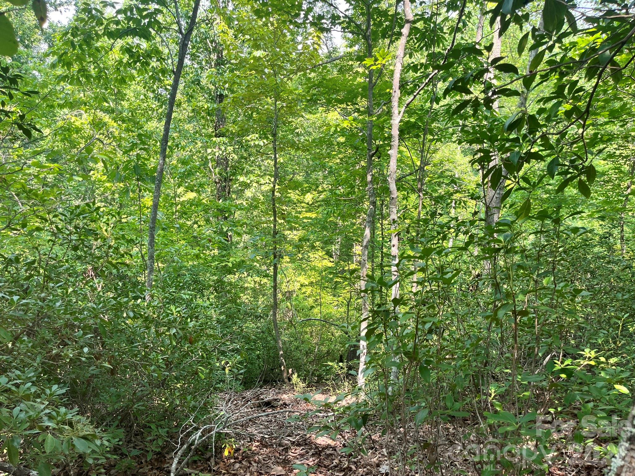 Lot 25 Bluebird Terrace Property Photo 20