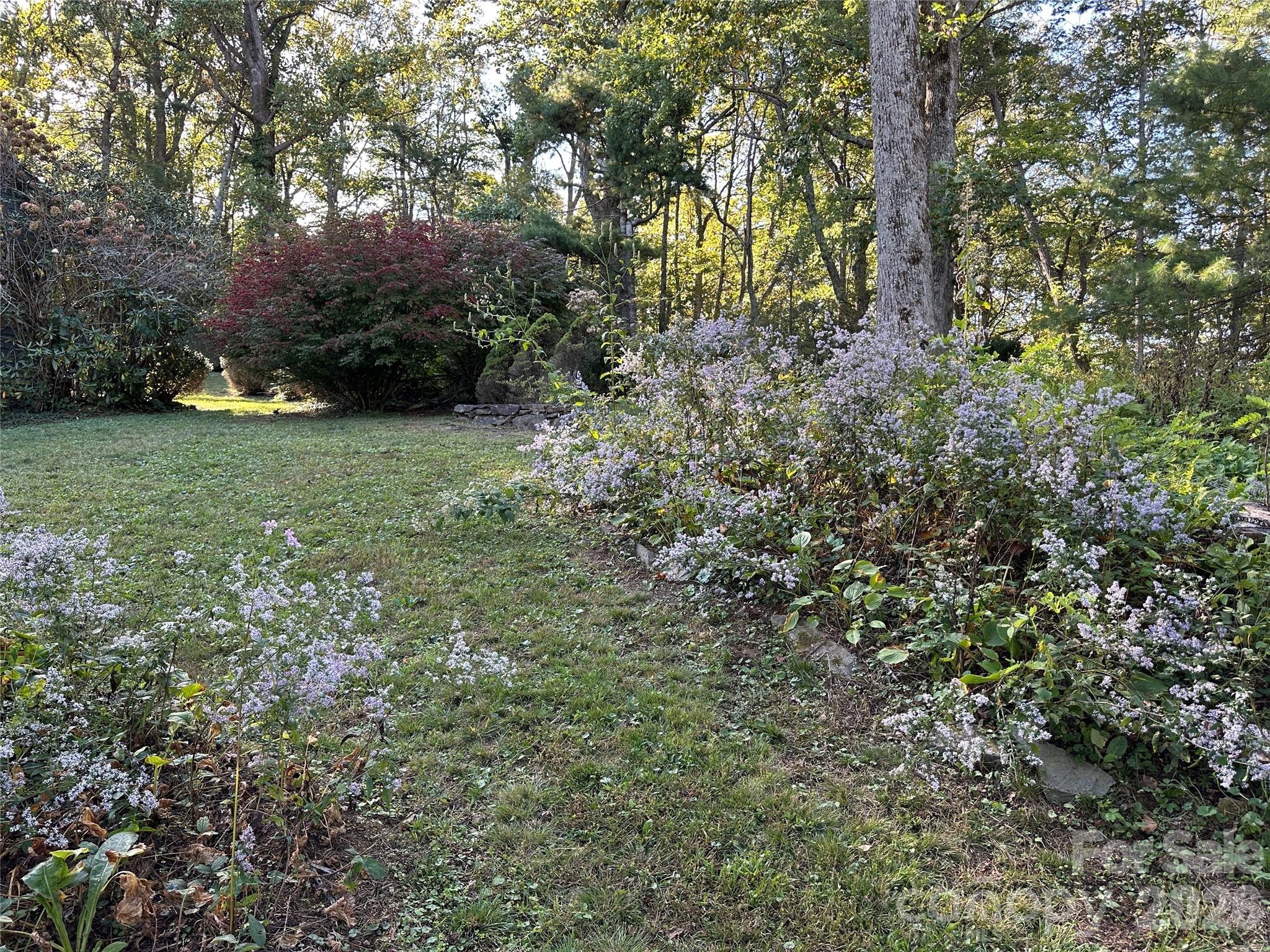 16 Osborn Knob Road Property Photo 41
