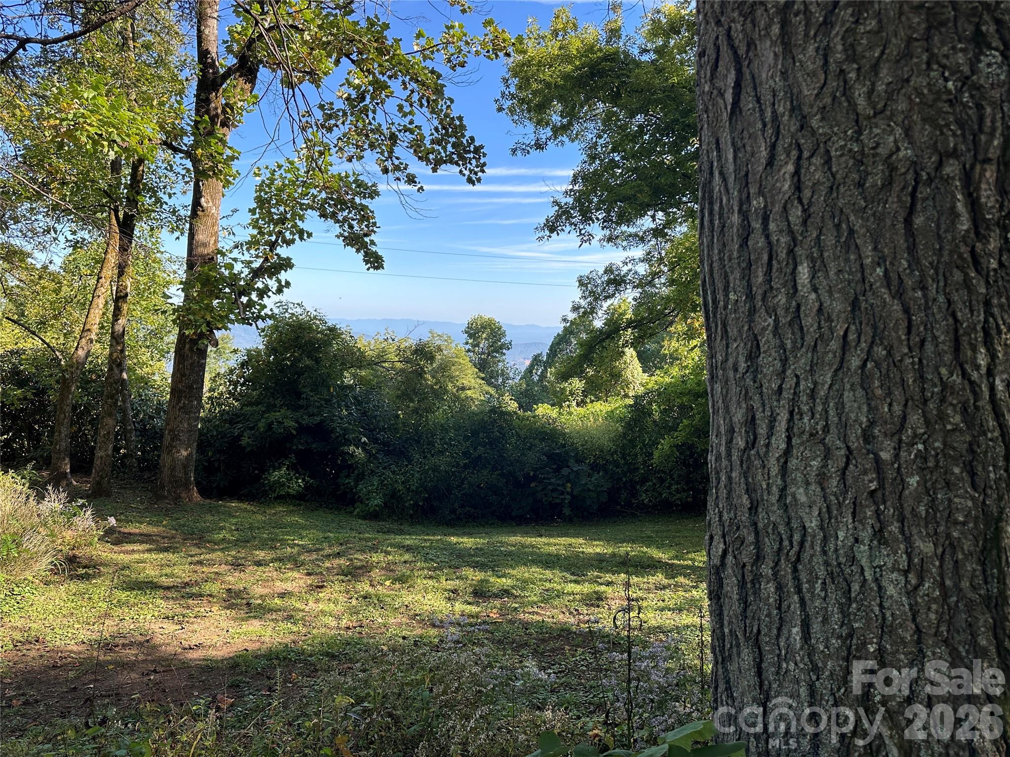 16 Osborn Knob Road Property Photo 42