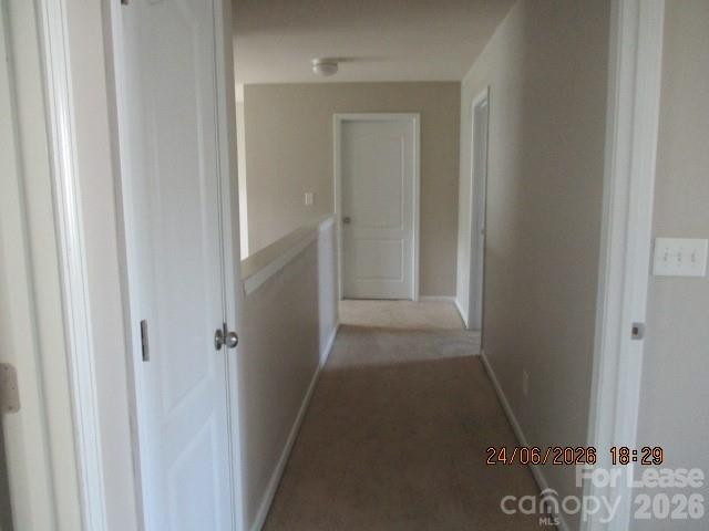 1008 Perennial Lane Property Photo 10