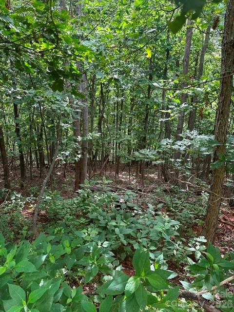 0 Cove Gap Road 1 Property Photo 1