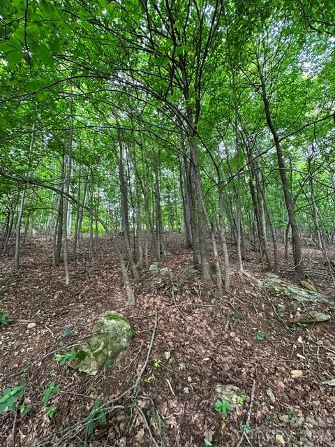 0 Treadway Ridge Drive 1 Property Photo 4