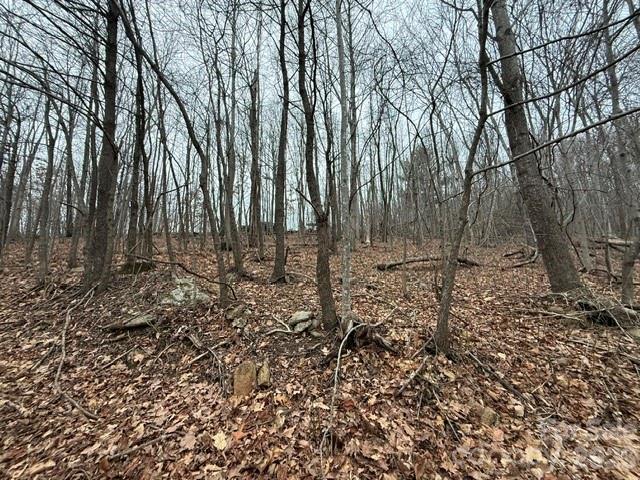 0 Cove Gap Road 2 Property Photo 1
