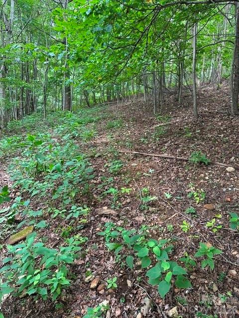 0 Cove Gap Road 2 Property Photo 3