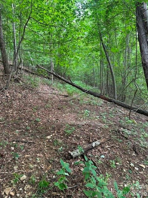 0 Cove Gap Road 2 Property Photo 4