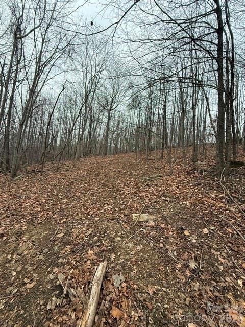 0 Cove Gap Road 2 Property Photo 5