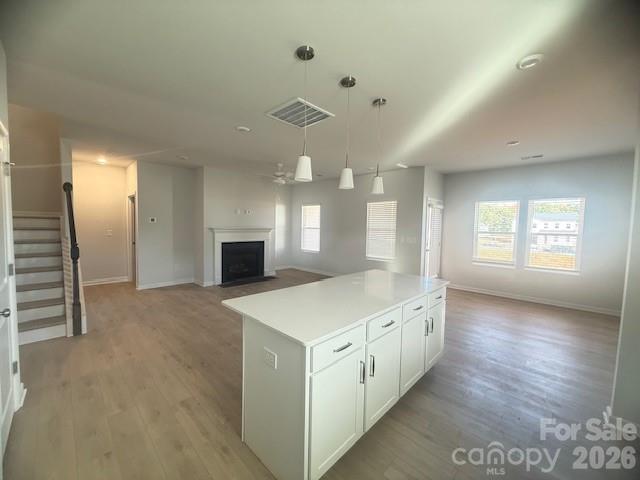 4012 Juno Drive Property Photo 11