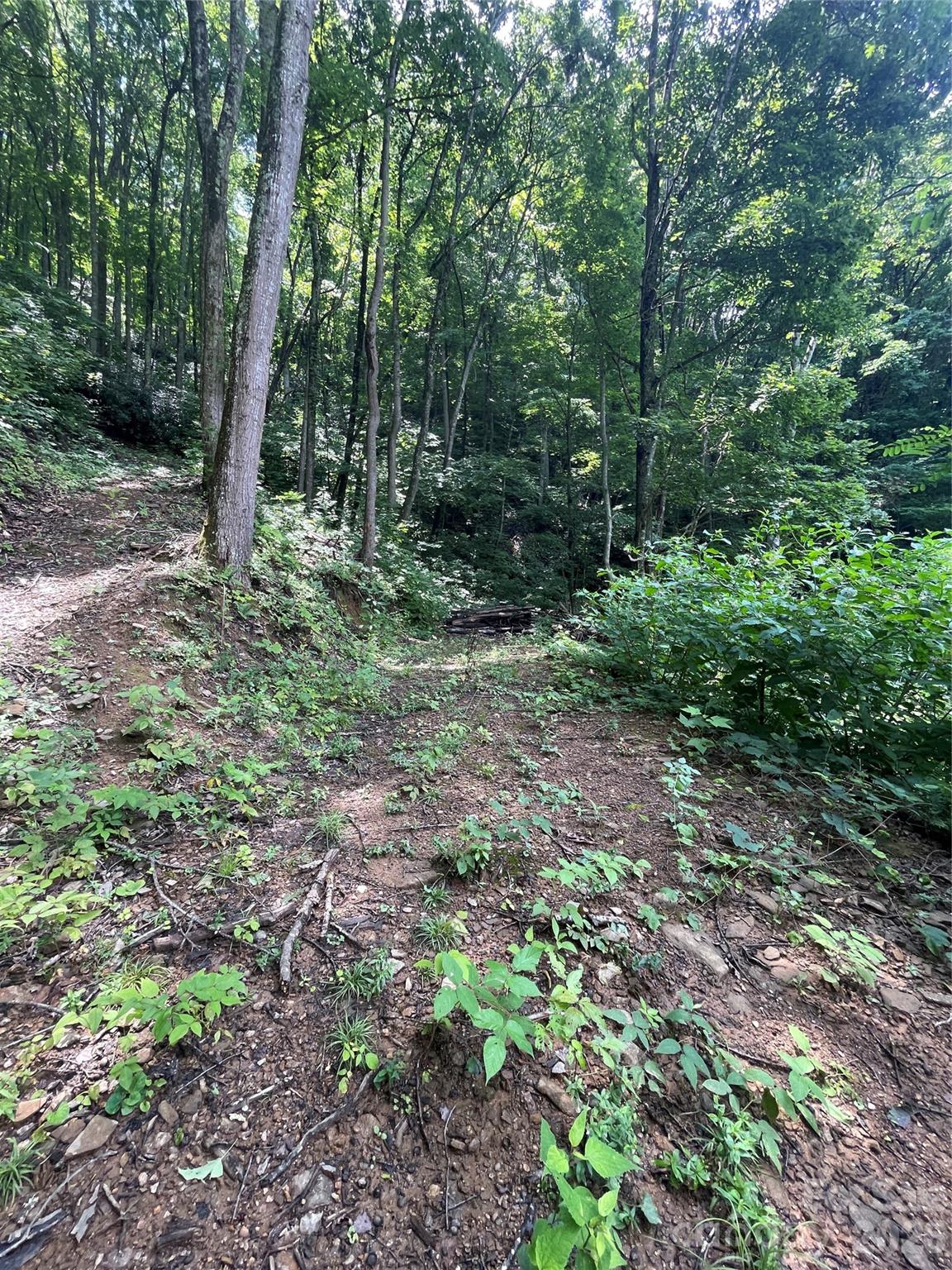 242 Floyd Road Property Photo 10