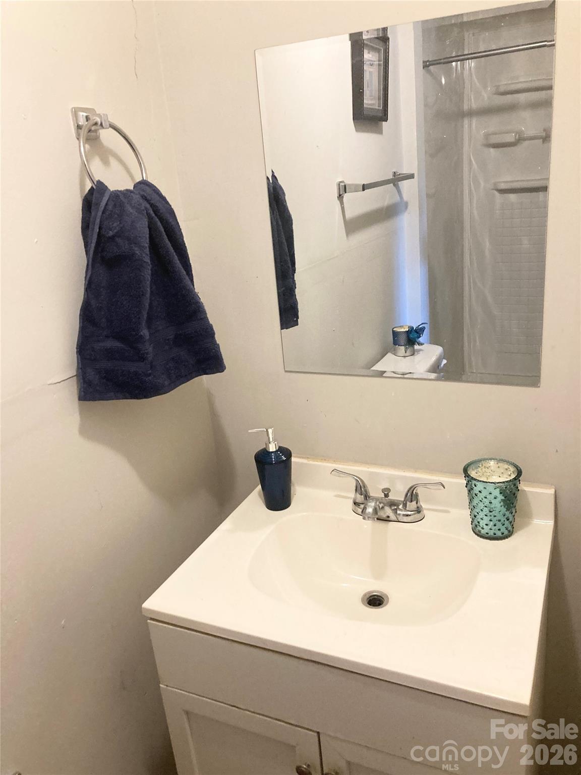 726 Grace Street Property Photo 21