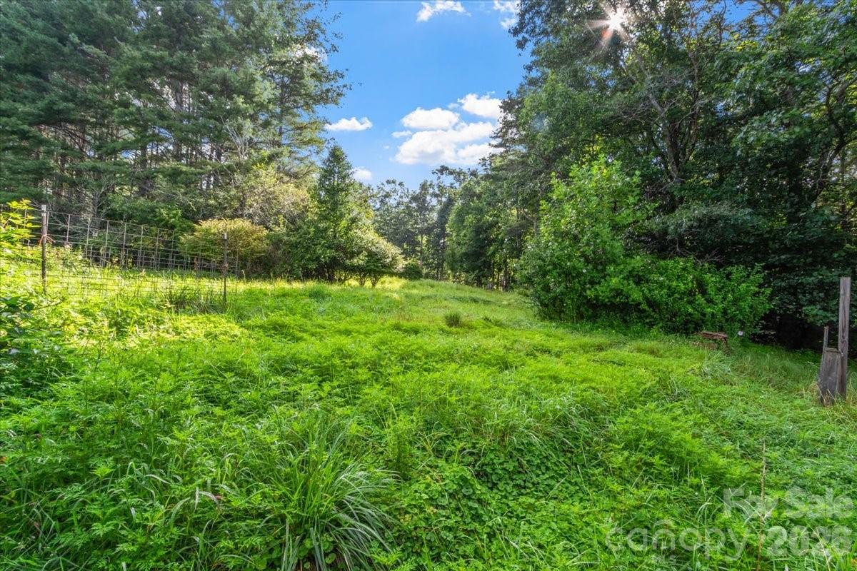 235 Rolling Ridge Loop Property Photo 43
