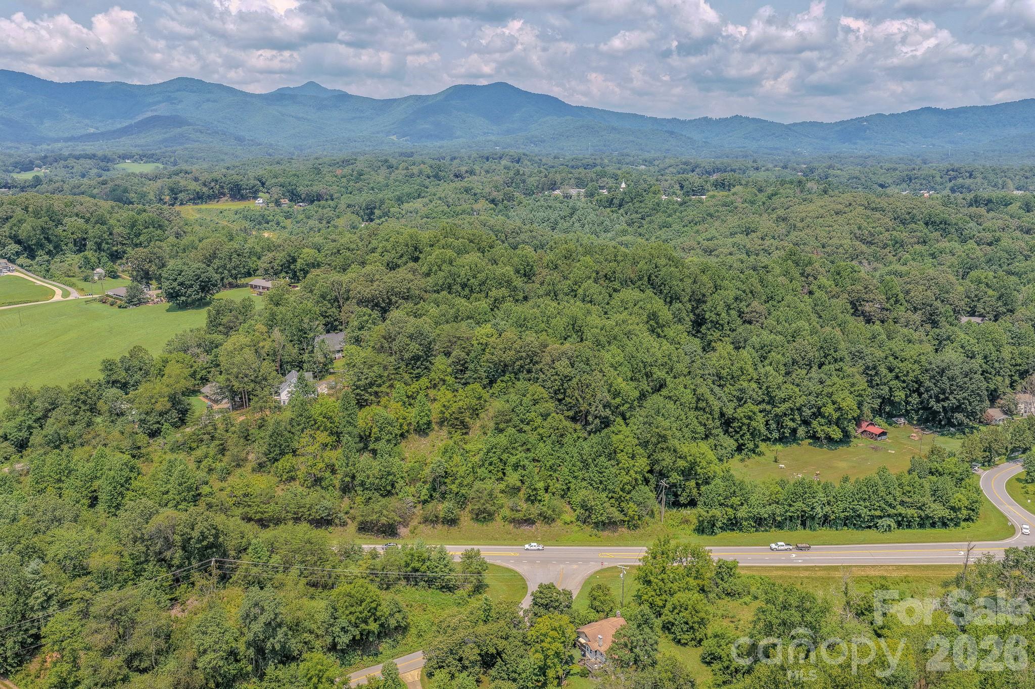 130 Old Candler Town Road Property Photo 3