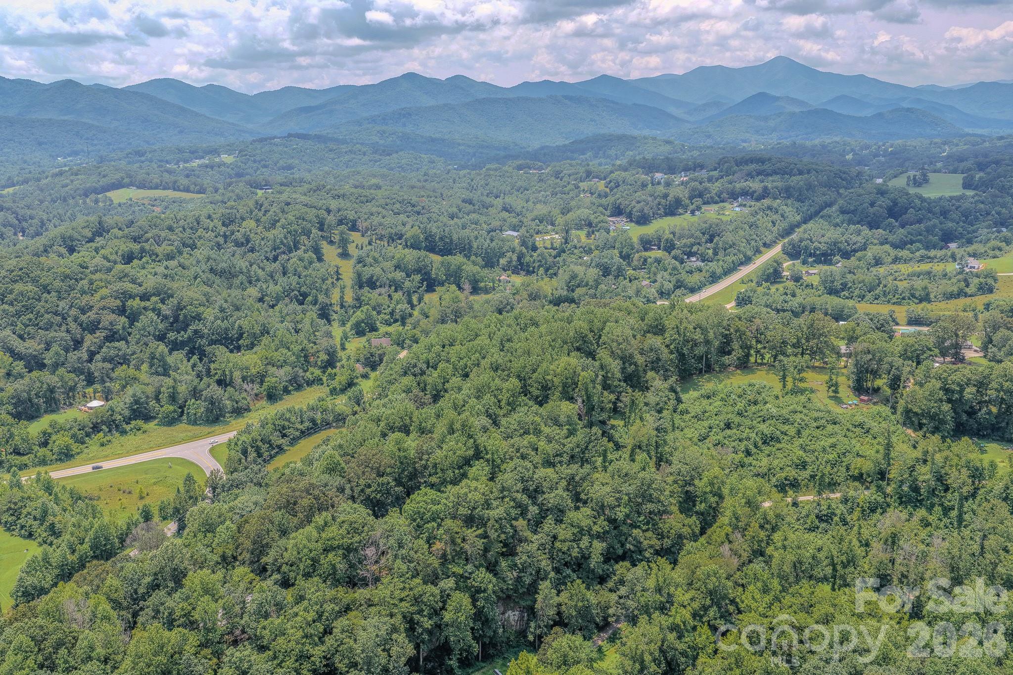 130 Old Candler Town Road Property Photo 12