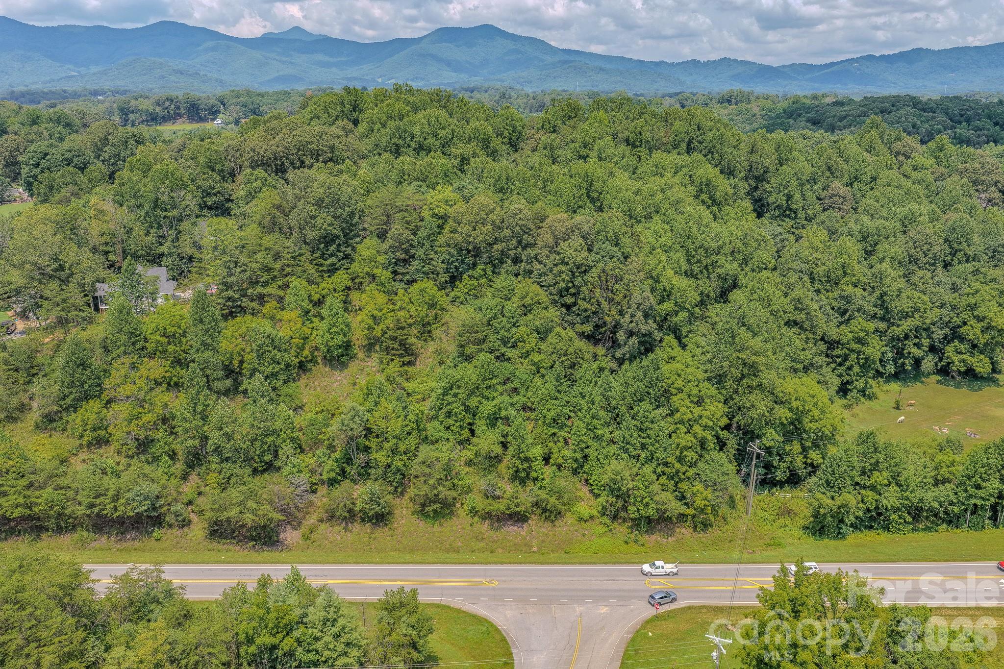 130 Old Candler Town Road Property Photo 18