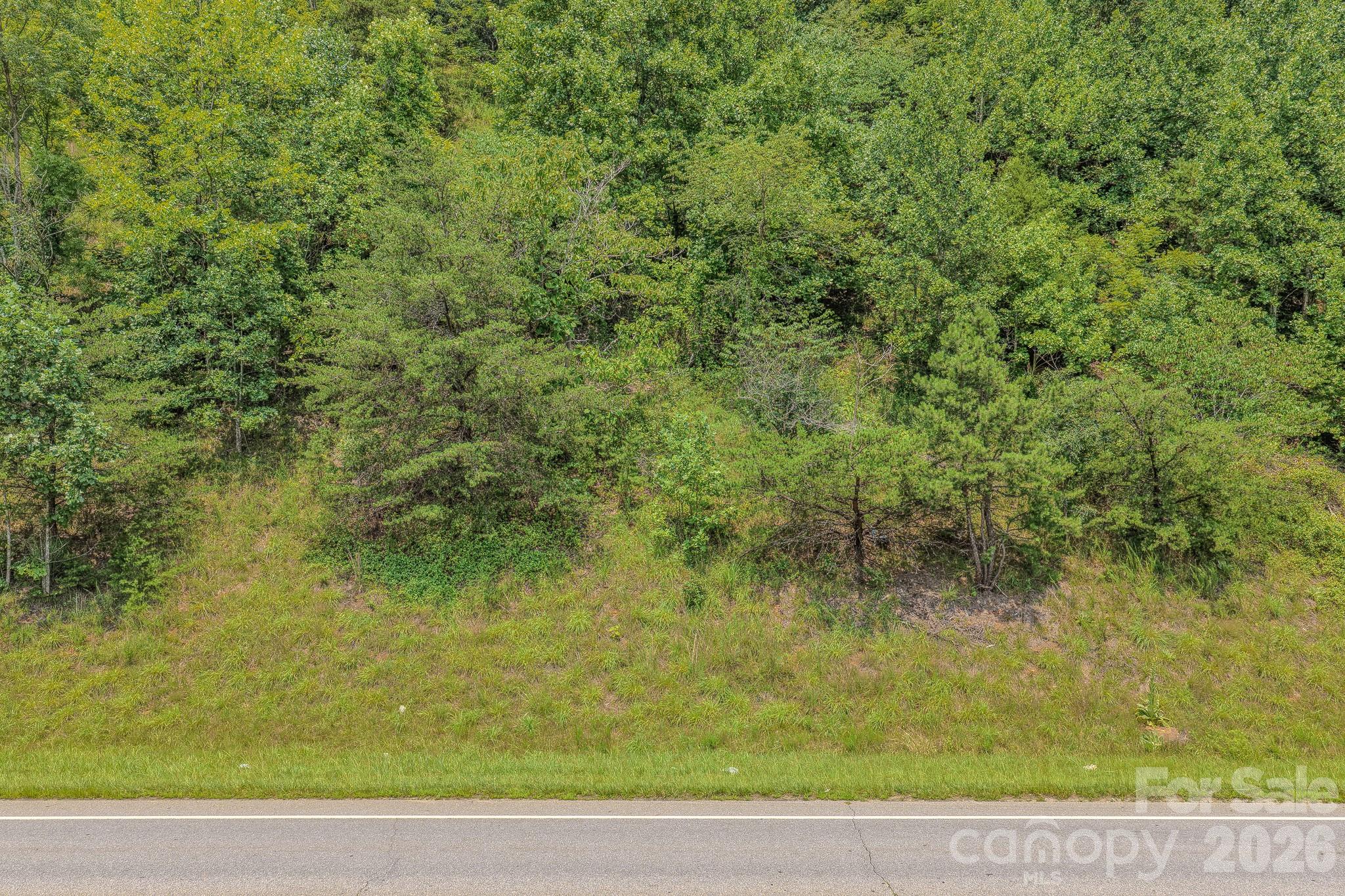 130 Old Candler Town Road Property Photo 19