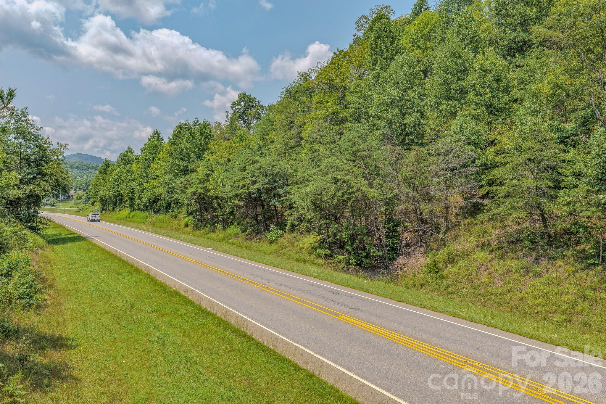 130 Old Candler Town Road Property Photo 21