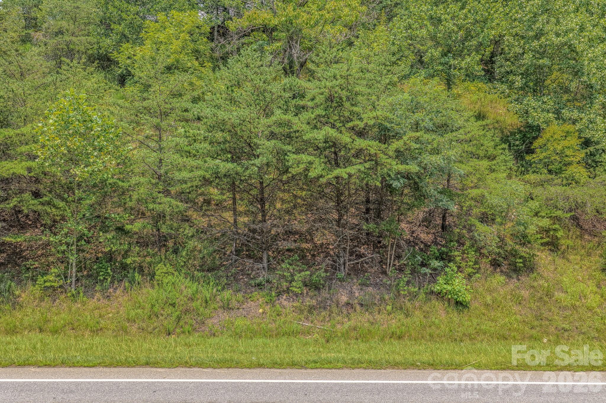 130 Old Candler Town Road Property Photo 22