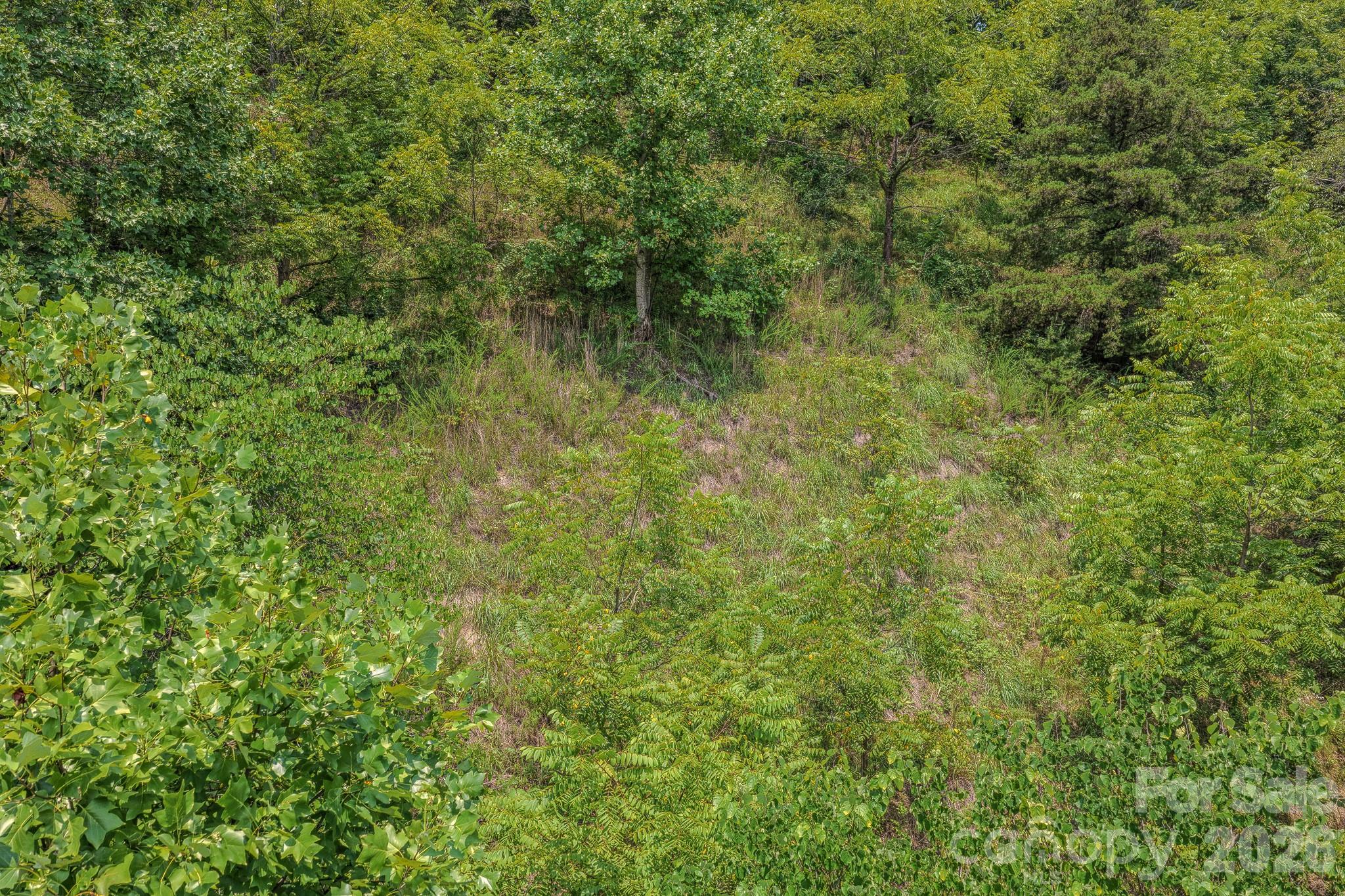 130 Old Candler Town Road Property Photo 24