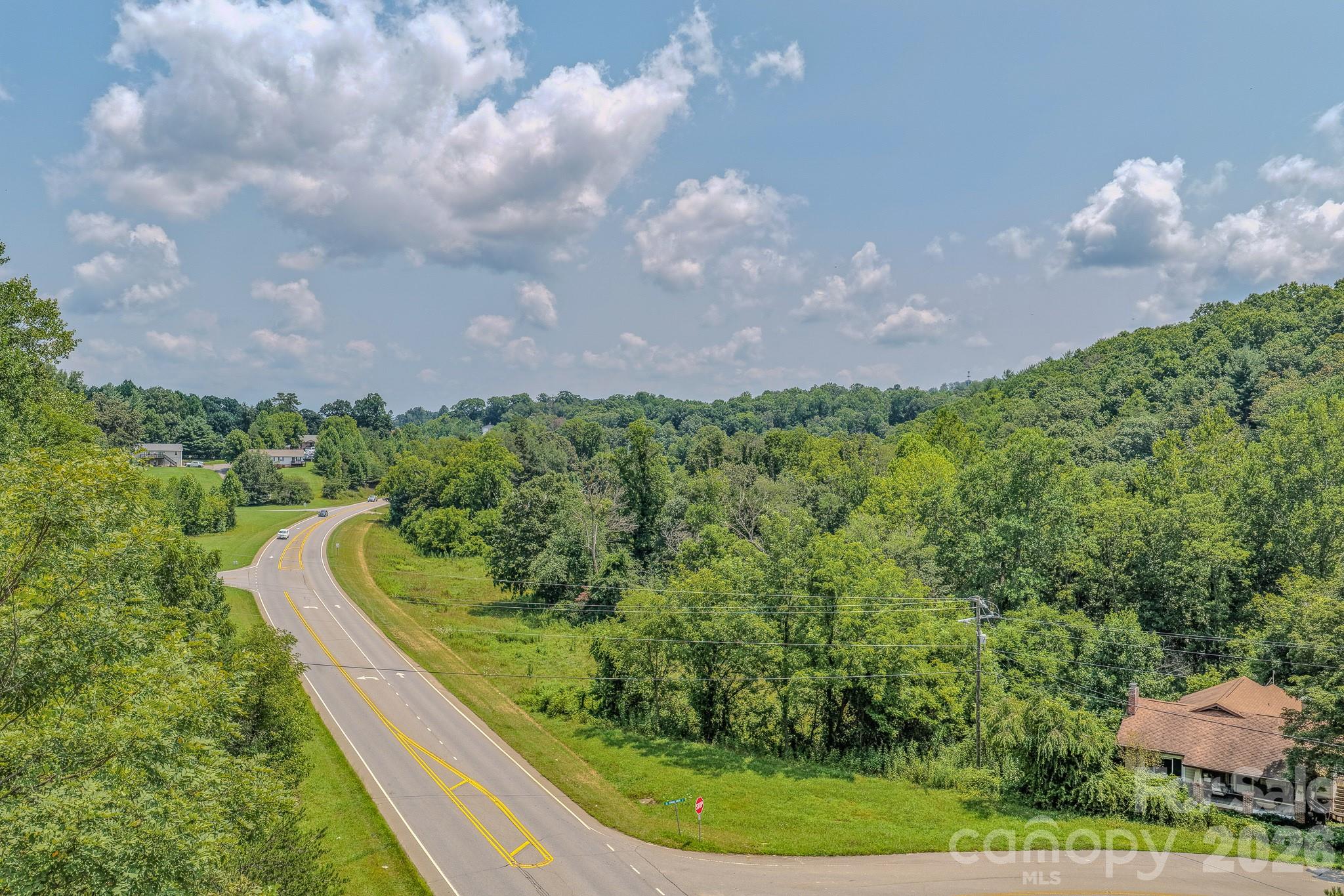 130 Old Candler Town Road Property Photo 25