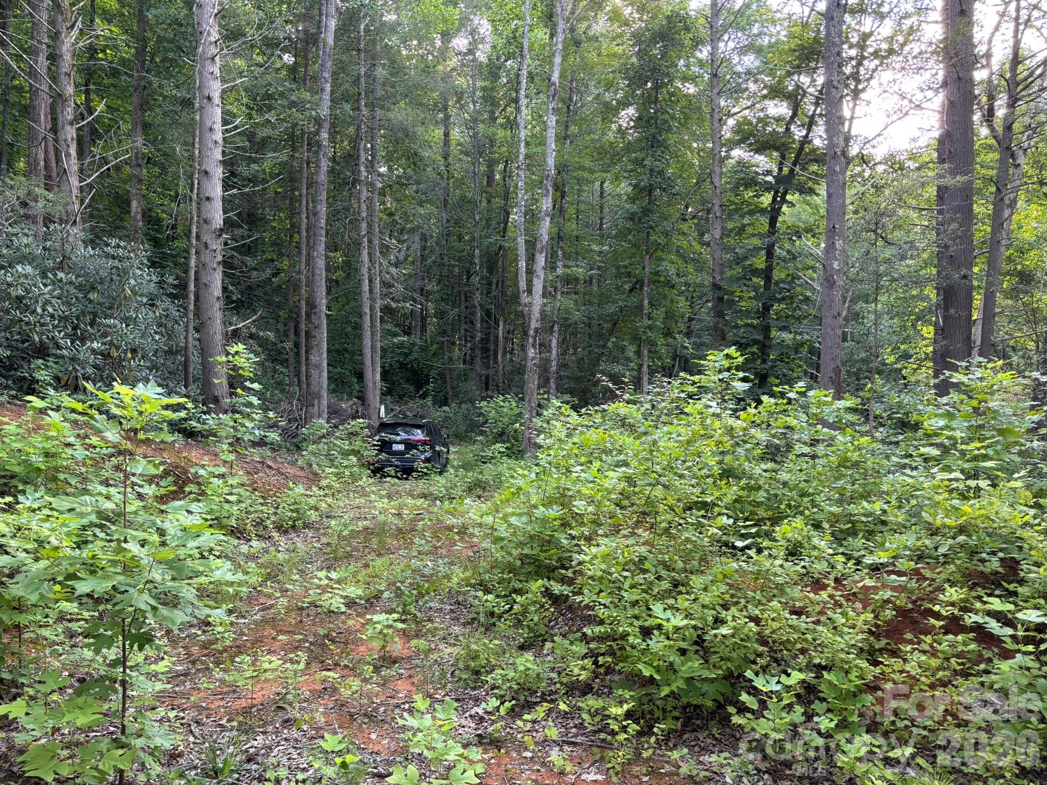 Lot 41 Peace Wood Lane 41 Property Photo 1