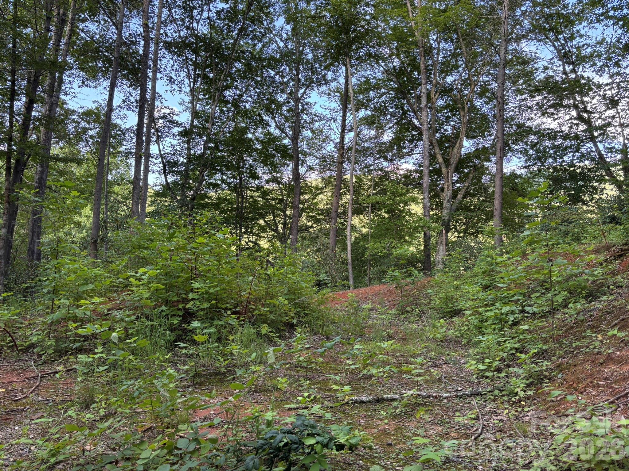 Lot 41 Peace Wood Lane 41 Property Photo 2