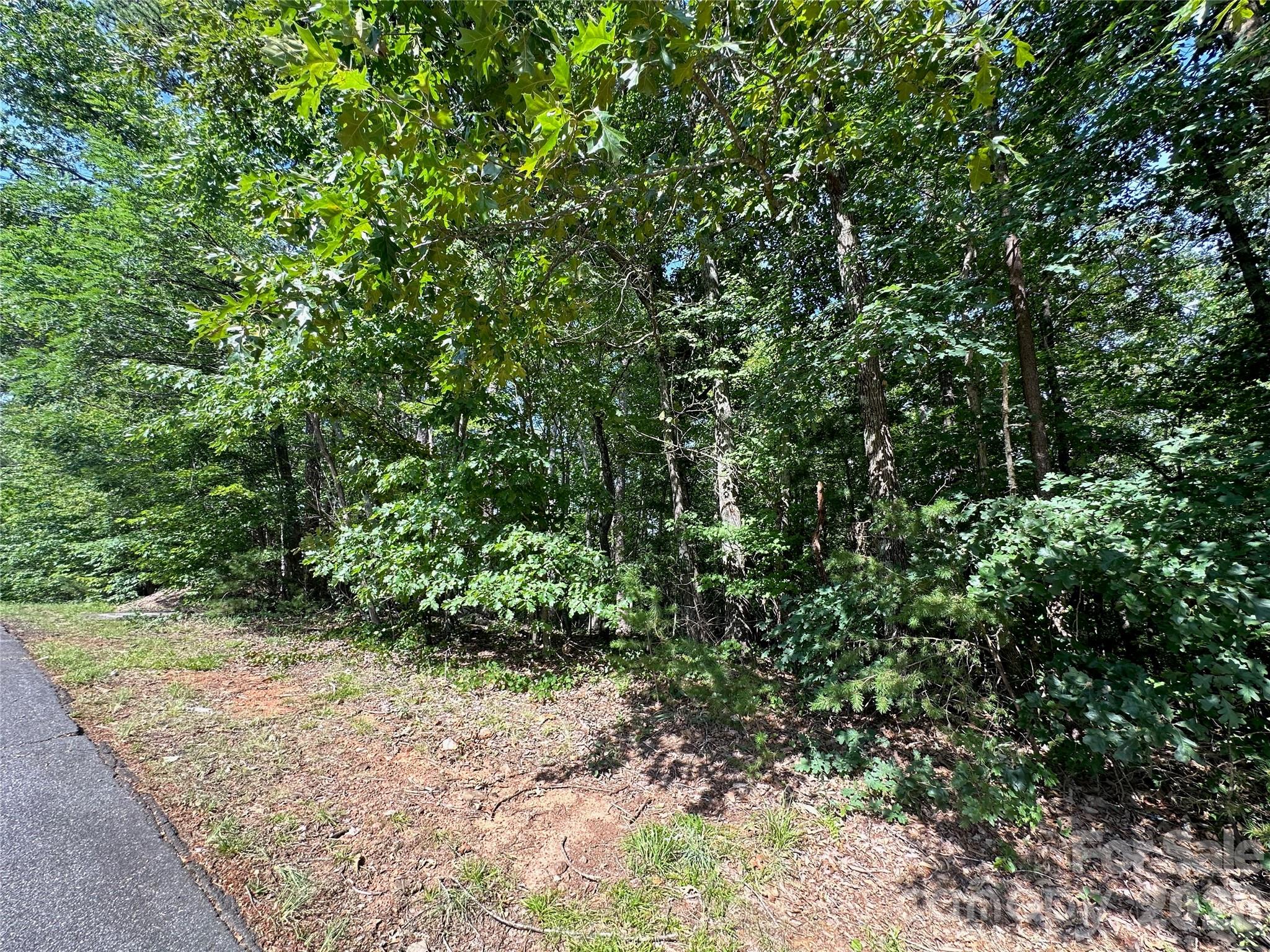0 John Byrd Road Property Photo 1