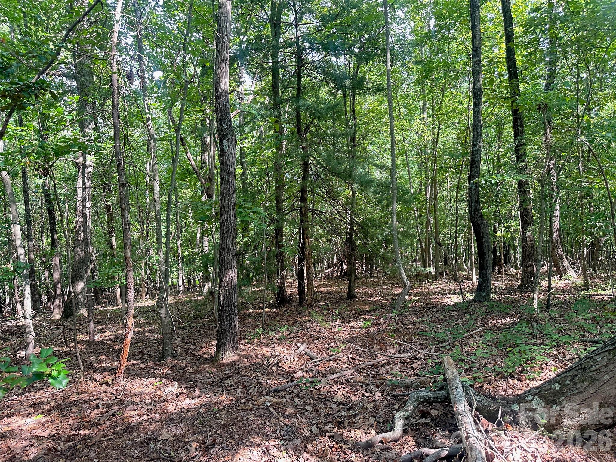0 John Byrd Road Property Photo 3