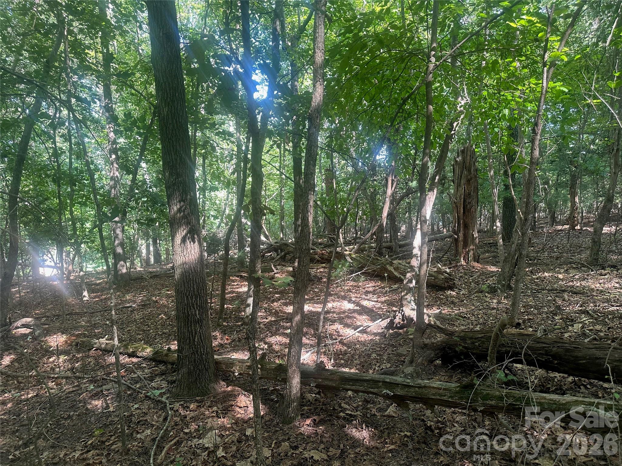 0 John Byrd Road Property Photo 4