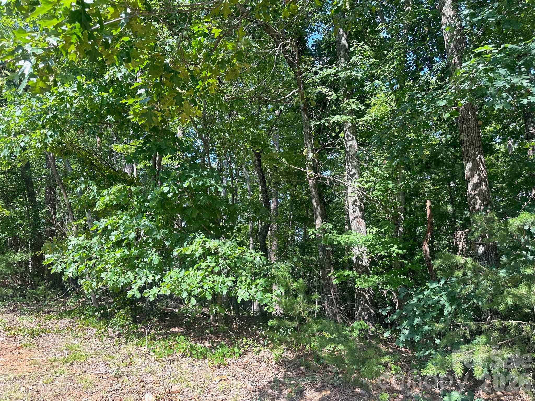 0 John Byrd Road Property Photo 6