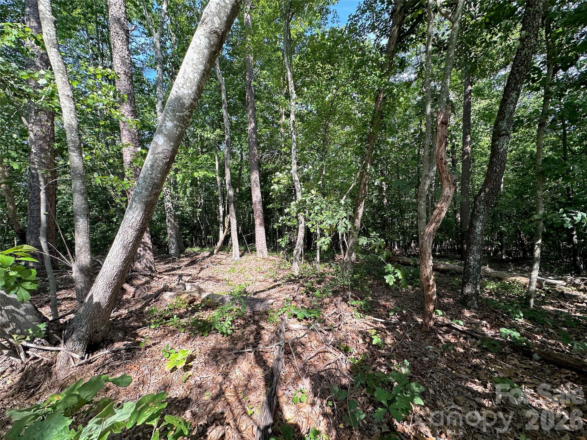 0 John Byrd Road Property Photo 7