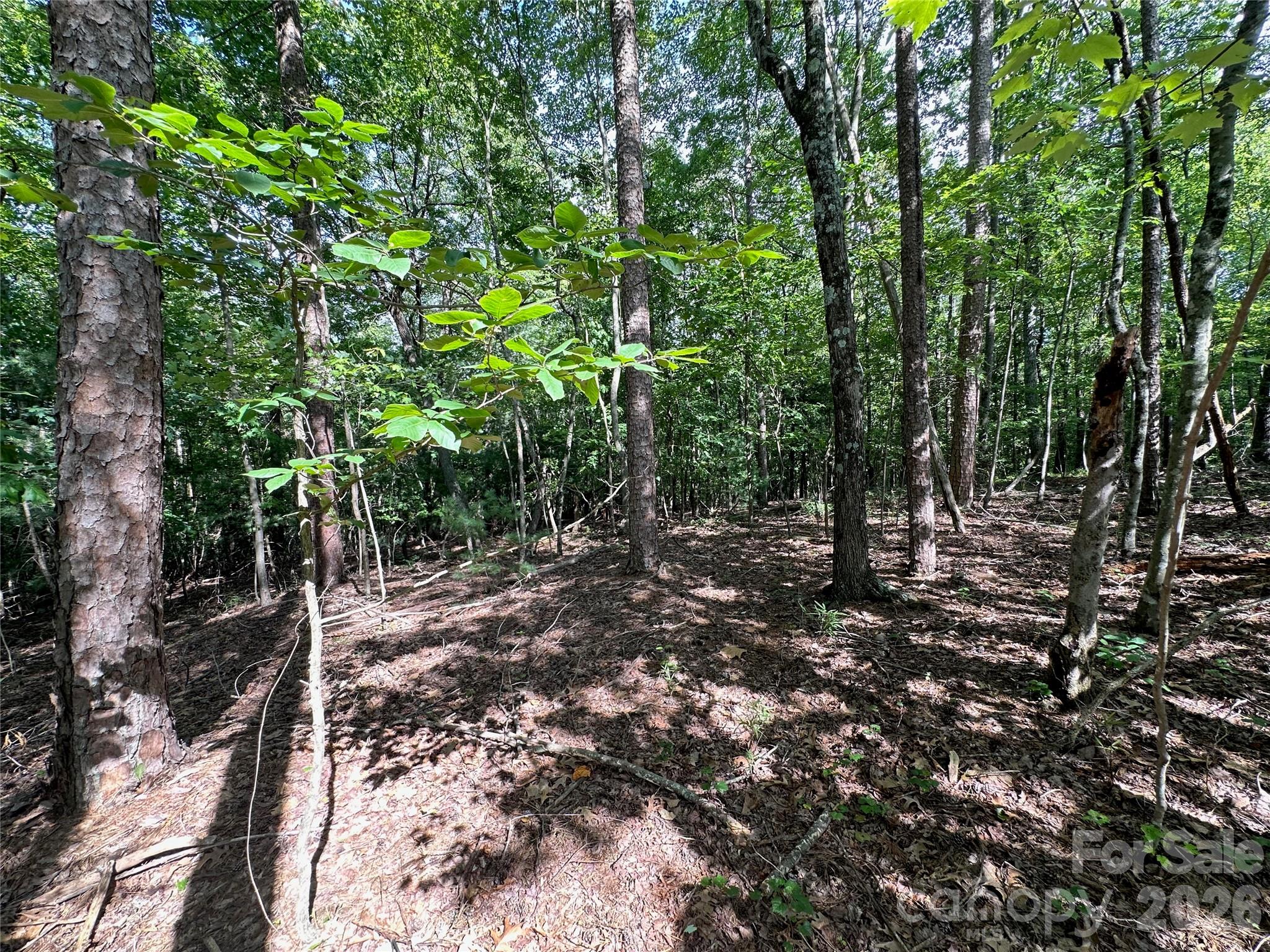0 John Byrd Road Property Photo 8