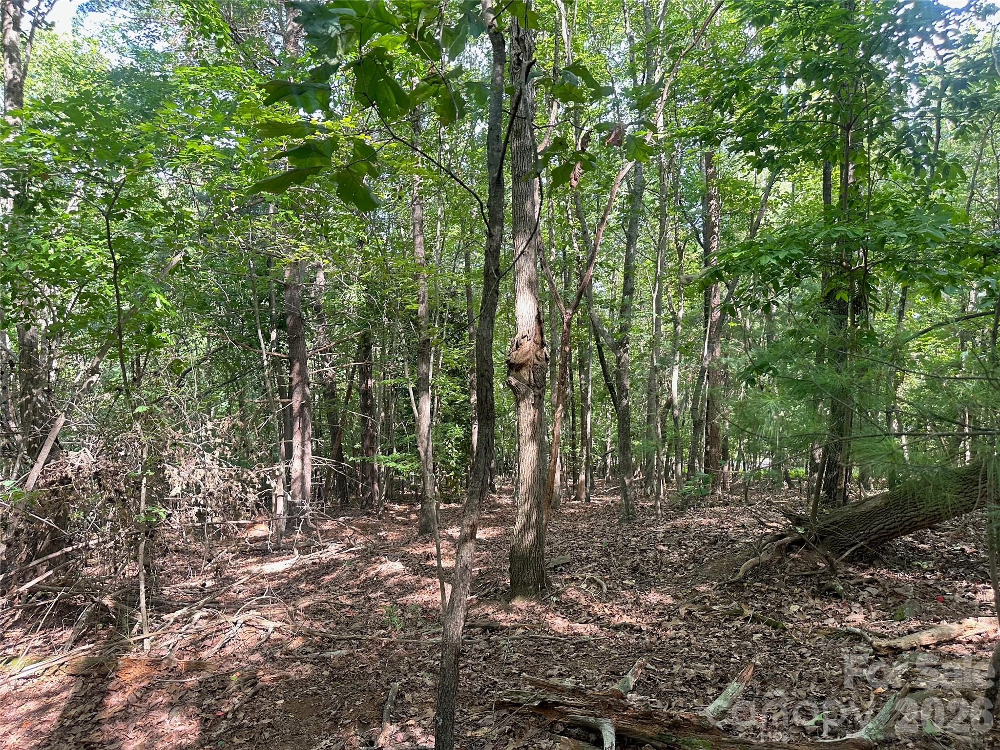 0 John Byrd Road Property Photo 10