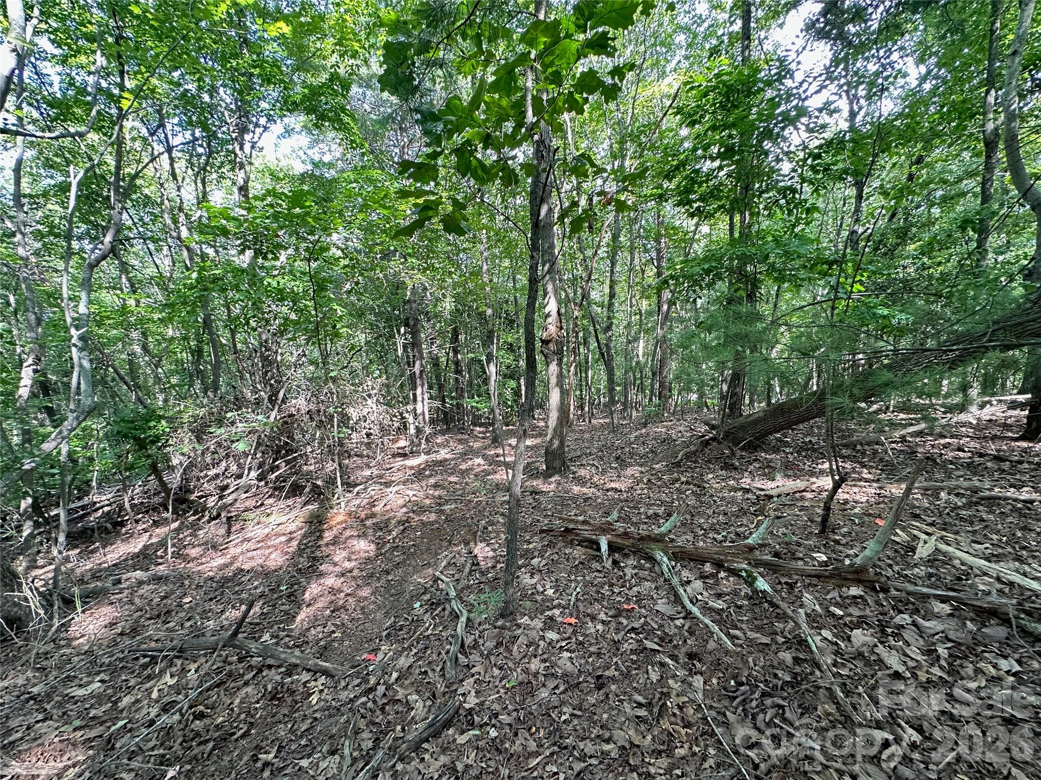 0 John Byrd Road Property Photo 11