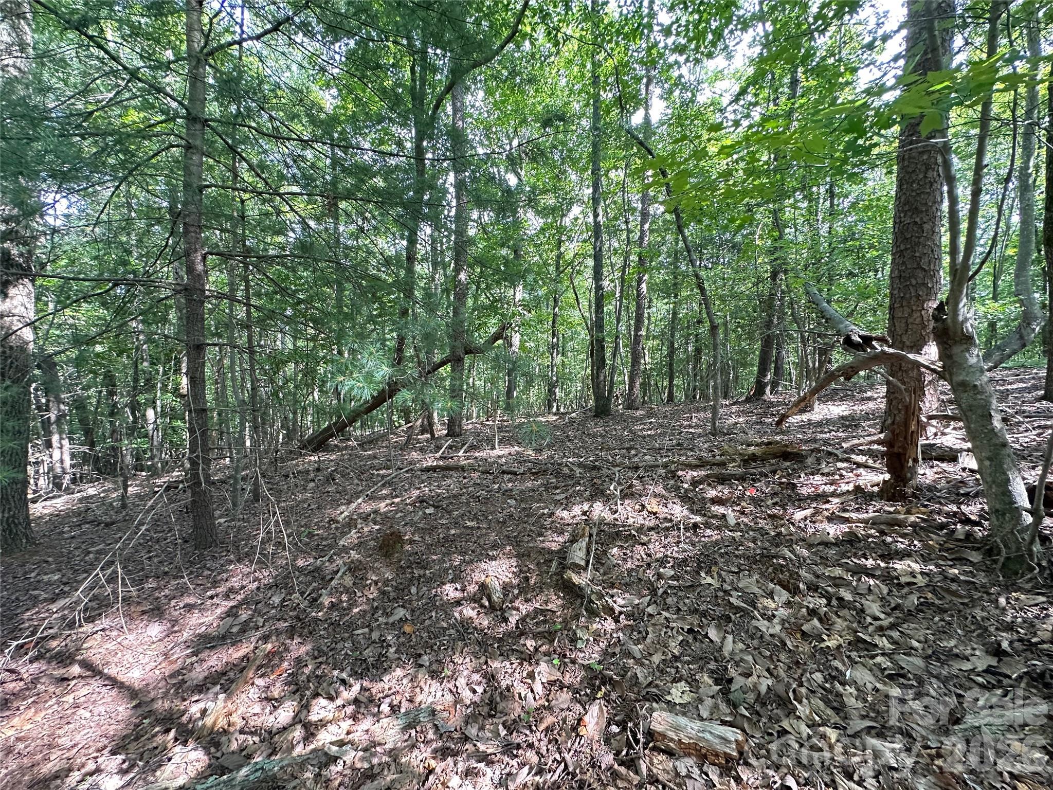 0 John Byrd Road Property Photo 12