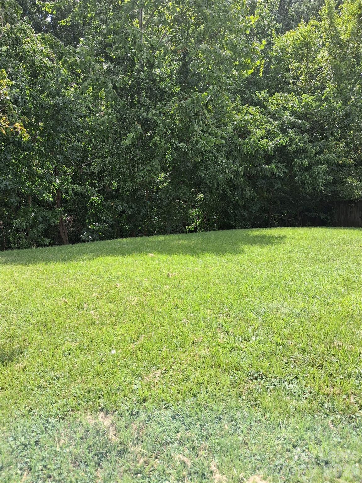 8214 Deodora Cedar Lane Property Photo 2