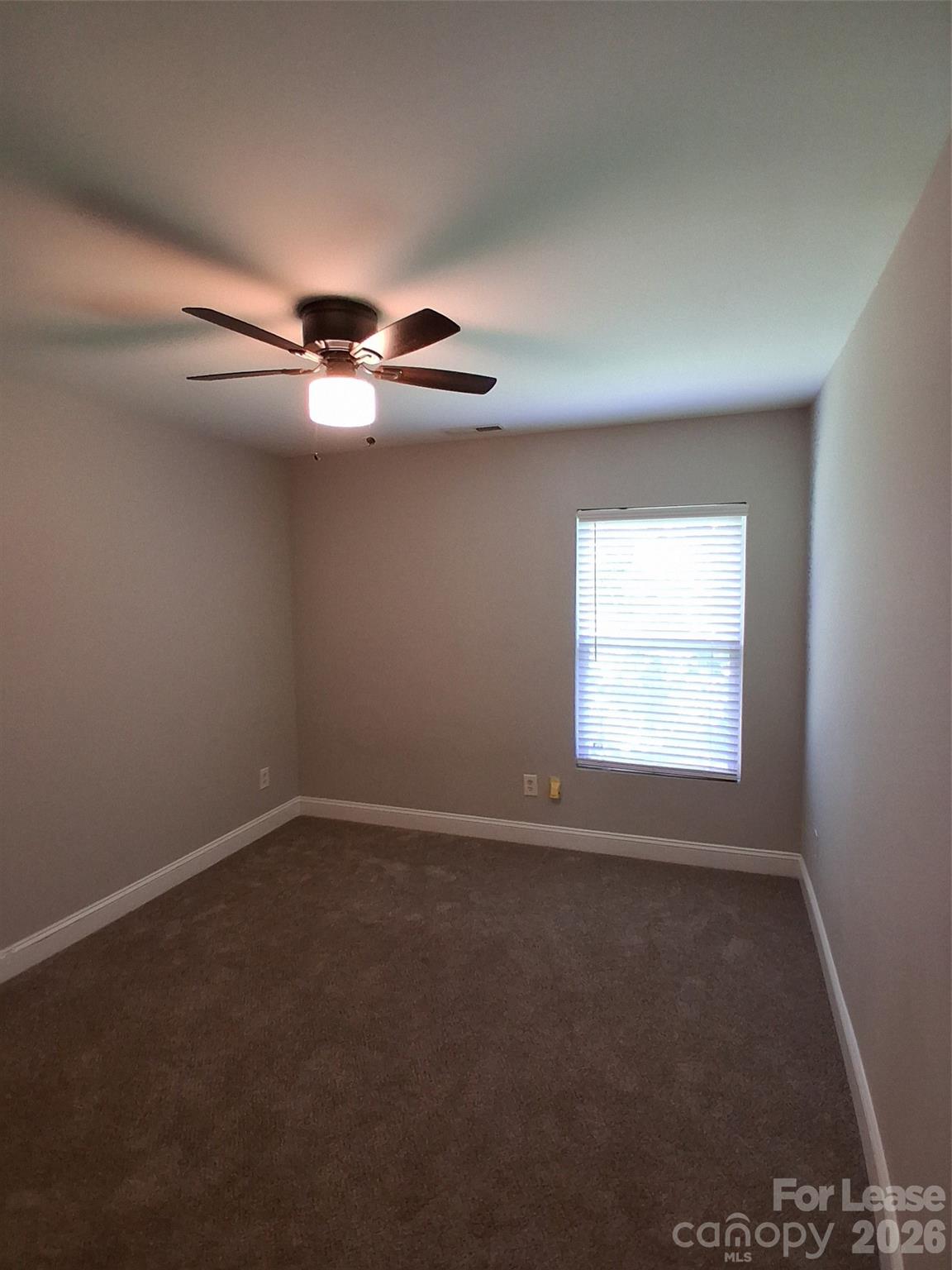 8214 Deodora Cedar Lane Property Photo 15