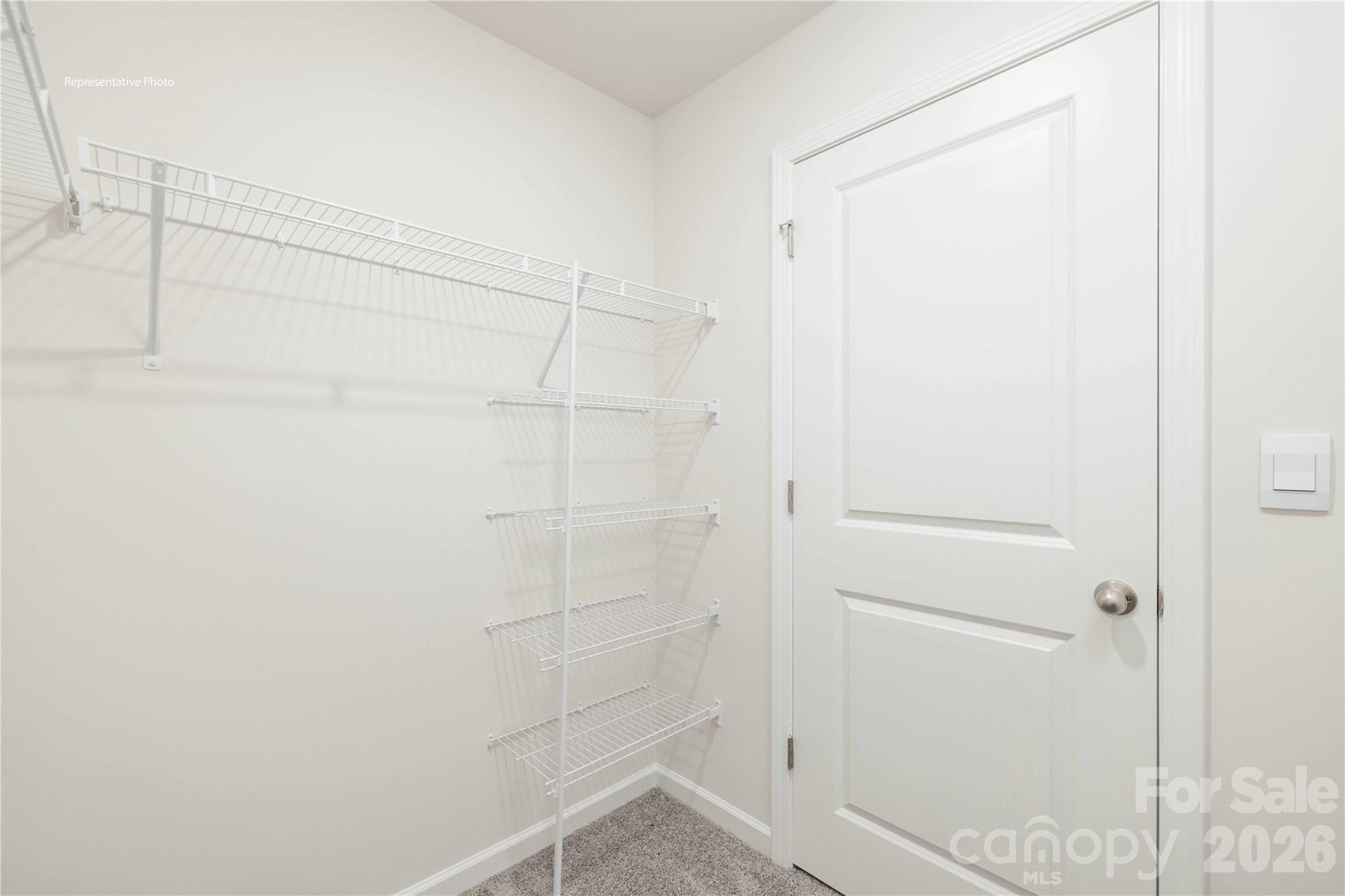 759 Dazzle Loop Property Photo 19
