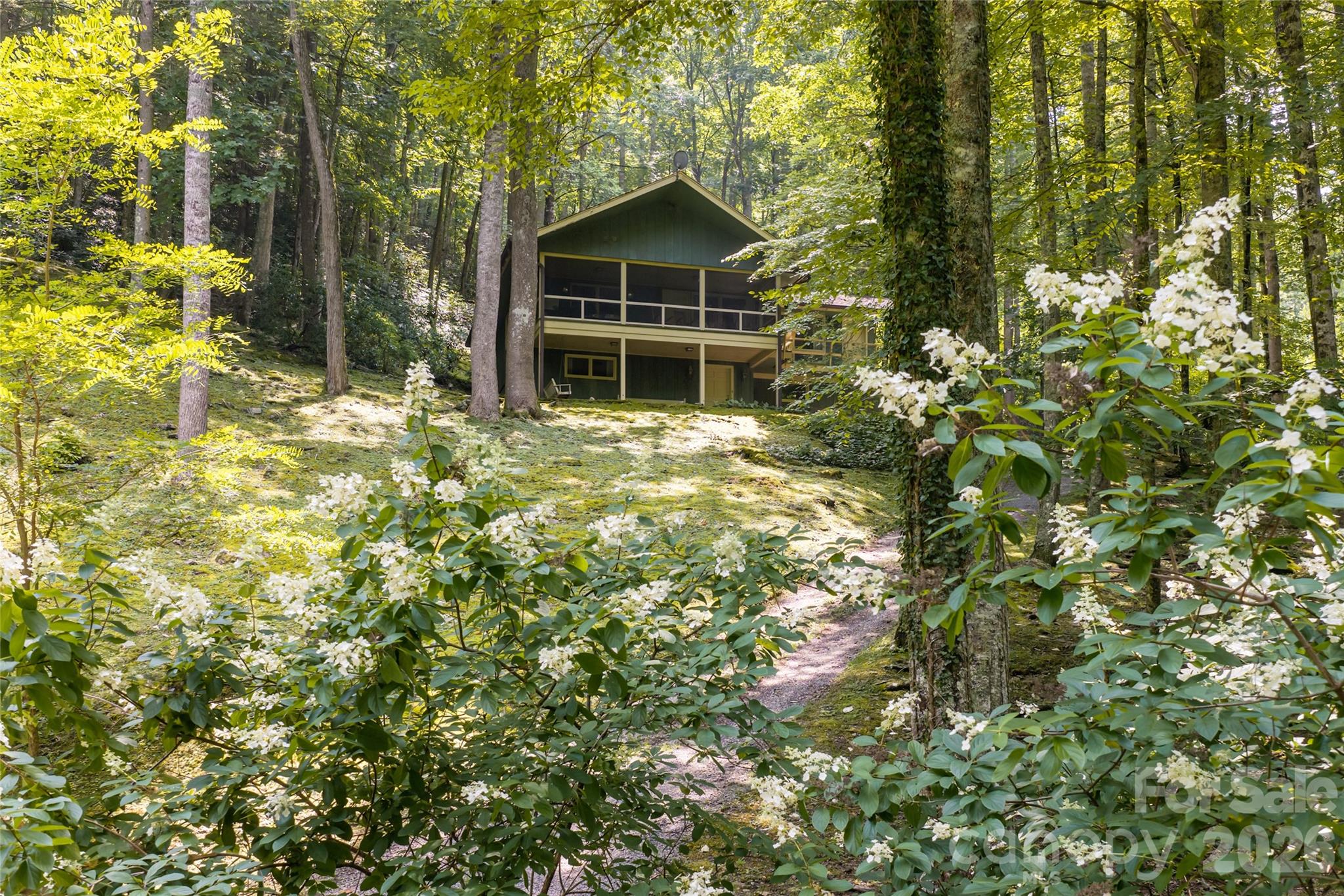 31 Mcclure Creek Road Property Photo 3