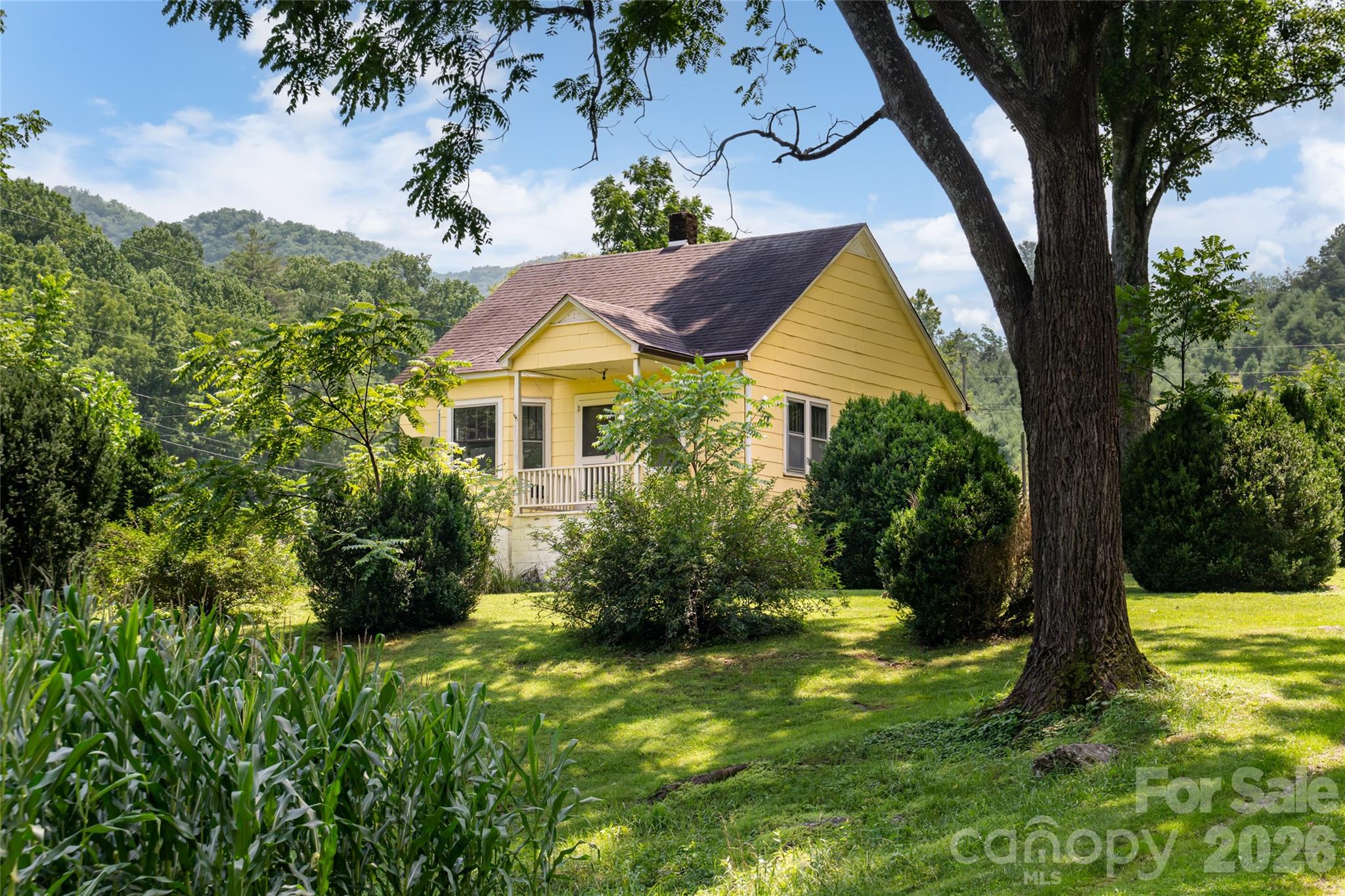 31 Mcclure Creek Road Property Photo 27