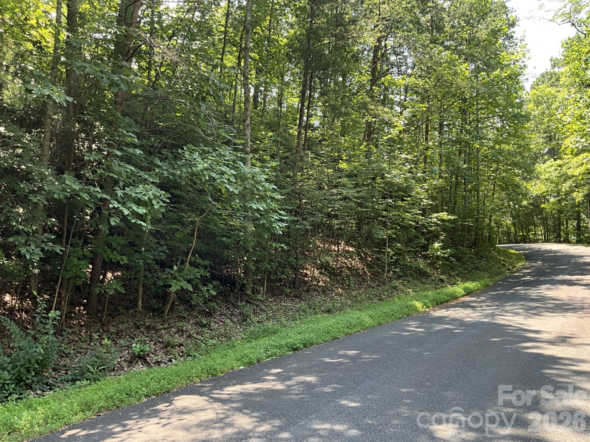 Lot 77 Winesap Boulevard Property Photo 1
