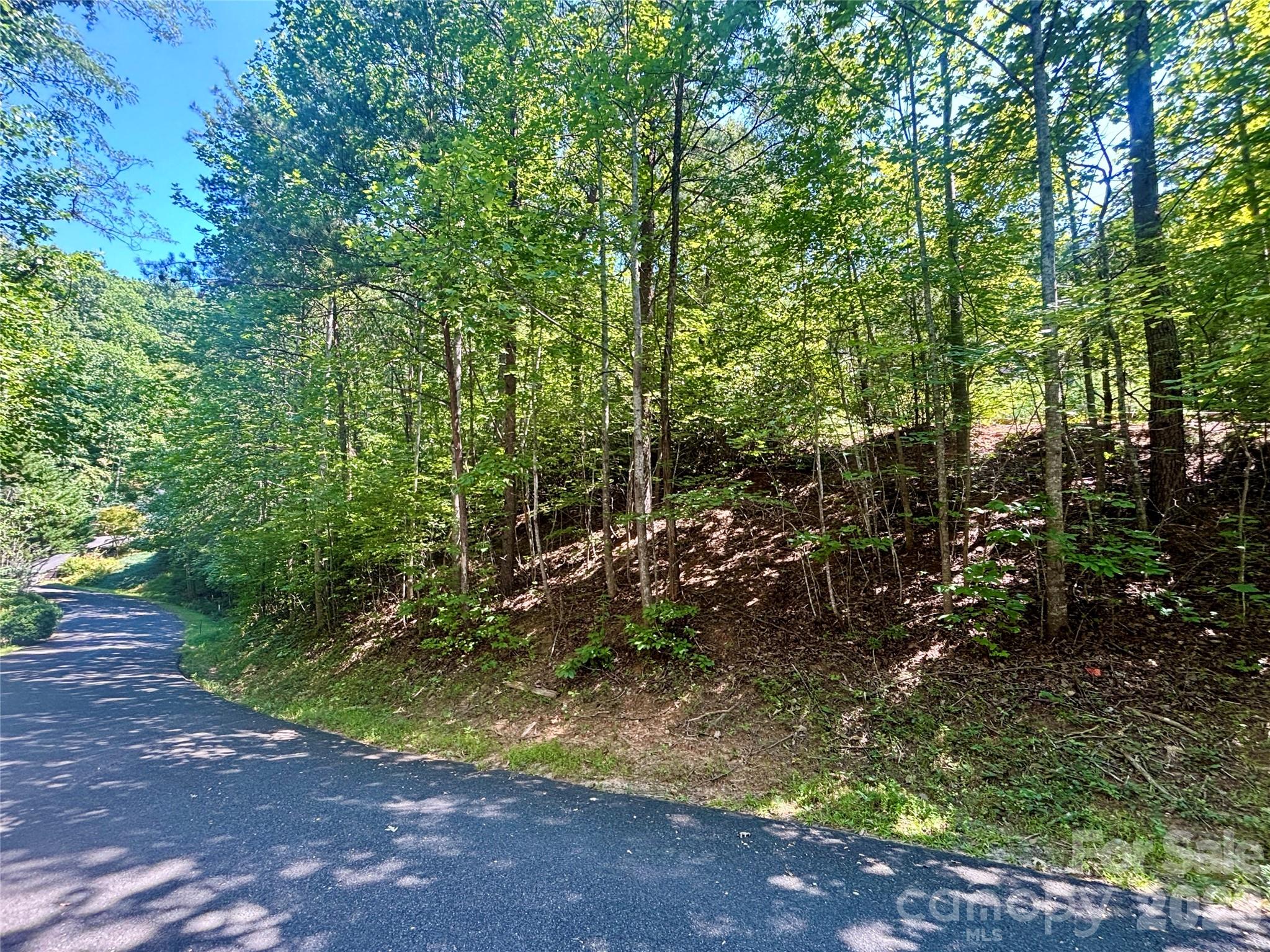 Lot 77 Winesap Boulevard Property Photo 1