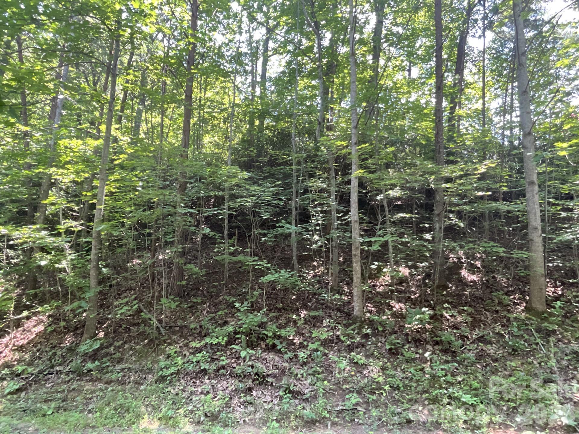 Lot 77 Winesap Boulevard Property Photo 2