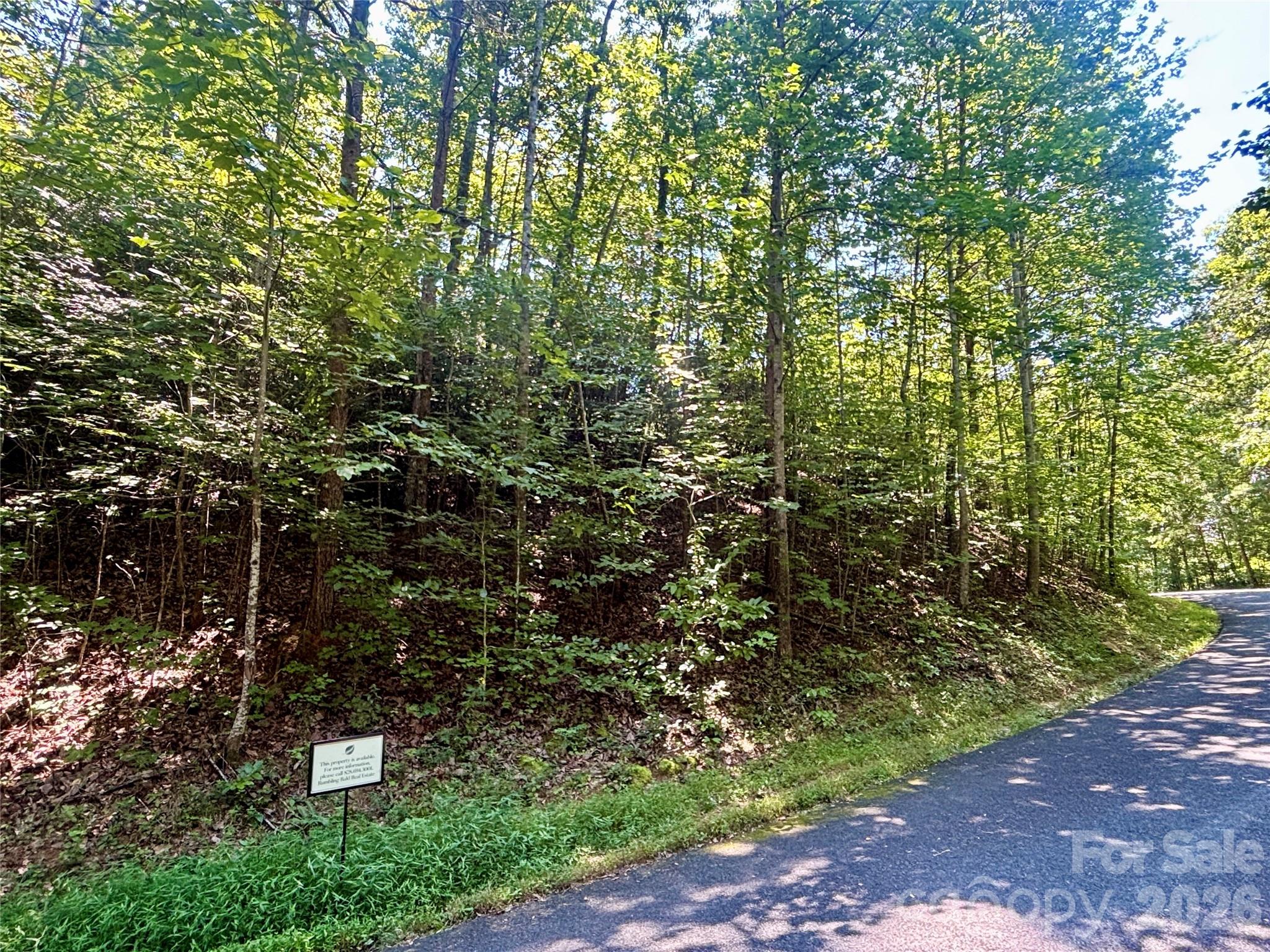 Lot 77 Winesap Boulevard Property Photo 2