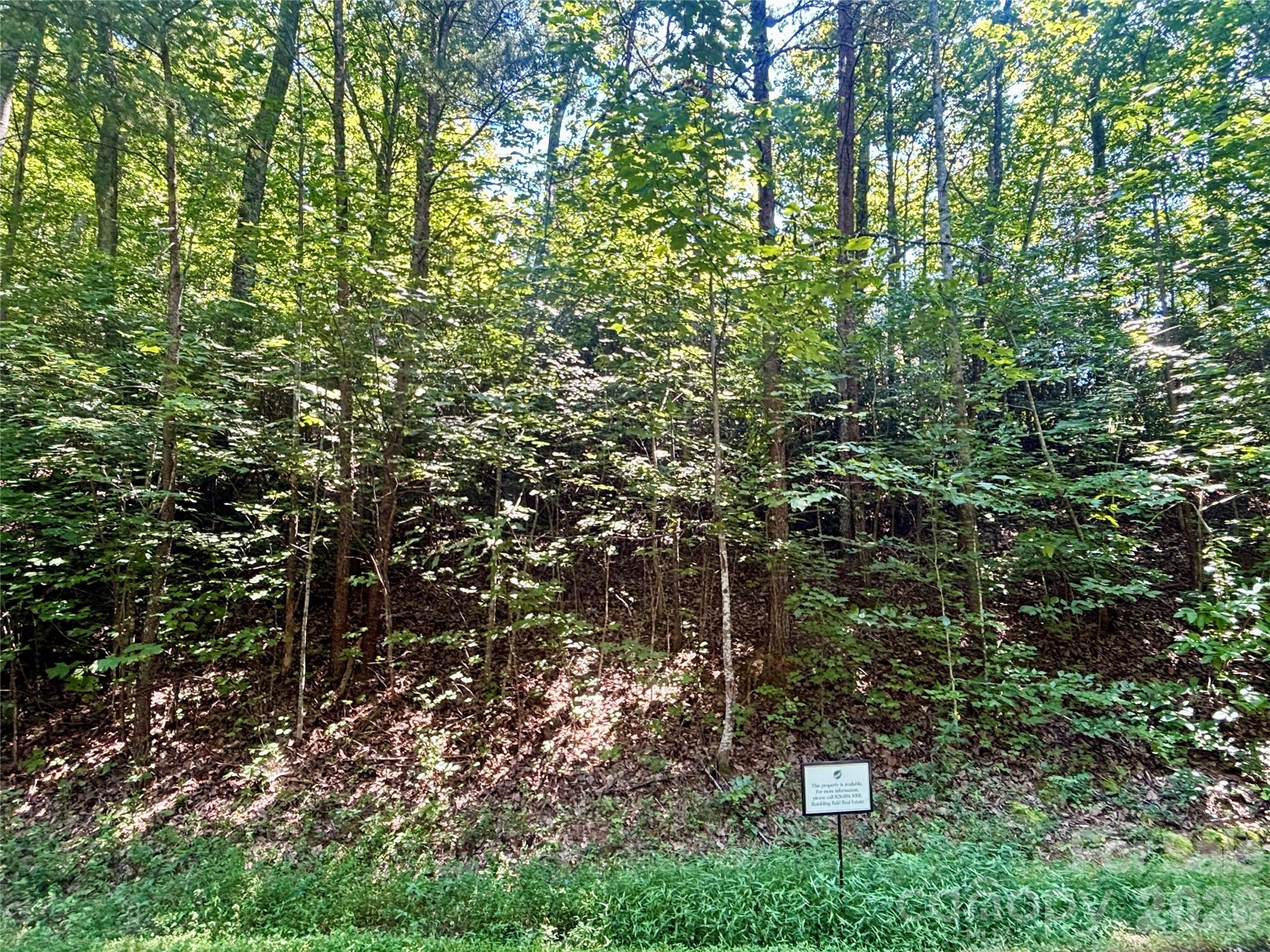Lot 77 Winesap Boulevard Property Photo 3