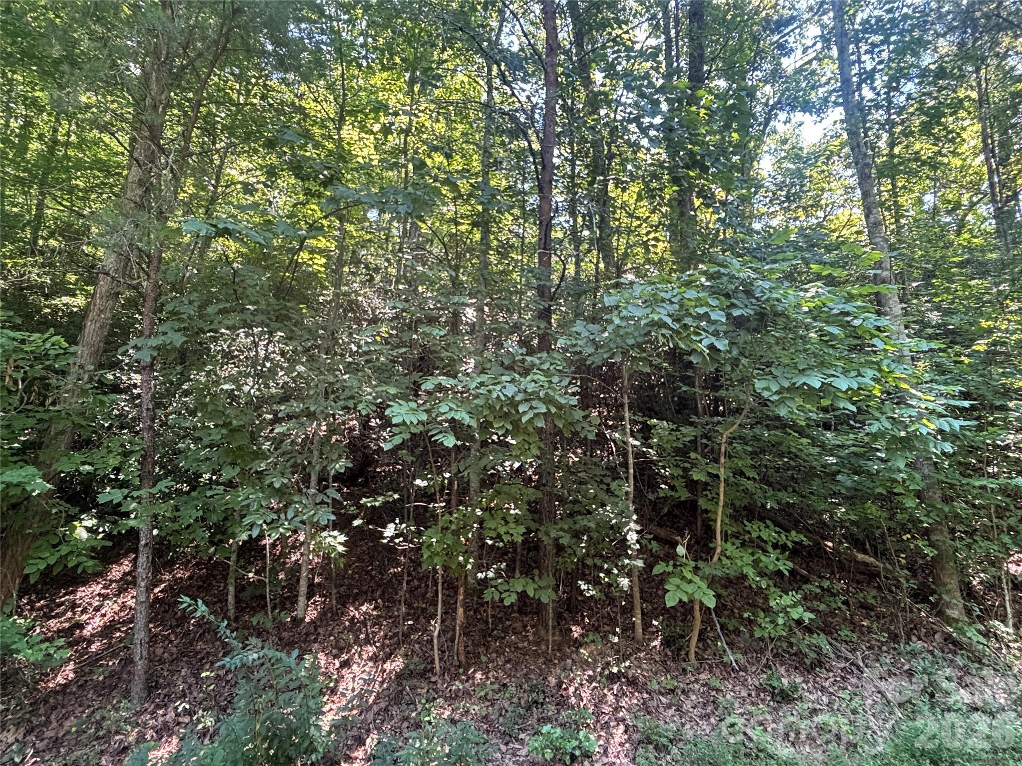 Lot 77 Winesap Boulevard Property Photo 5